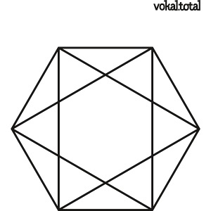 vokal.total Hexagon klein T-Shirts