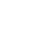 Majorque 2025 Palmiers