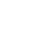 Mallorca Palm Trees