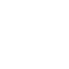 Mallorca Palm Tree