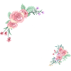 Letter s flowers
