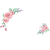 Letter p flowers