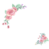 Letter n flowers