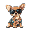 Chihuahua Dog Cool Summer