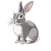 Lapin Lapin