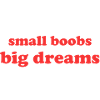 small boobs big dreams