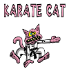 Karate and pink cat