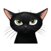 Black cat