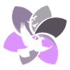 Pigeon Egg Pigeon Post