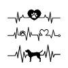 heartbeat