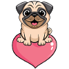 Pug