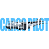 Cargo pilot CN-235