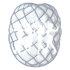 Disco Beats