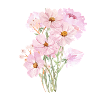 Blumenstrauß