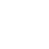 Révolution du basket-ball