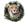 Gepard im grünen Dschungel