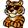 Tiger Sunglasses