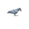 Pigeon Definition