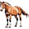 Stickers Cheval - Equestrian Design