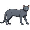 Bleu Russe - Chat mignon Sticker