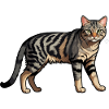 Chat domestique - Autocollant d’animal mignon