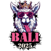 Bali 2025 Alpaca