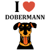 dobermann