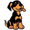 dobermann