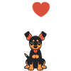 dobermann