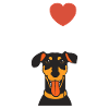 Dobermann