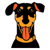 dobermann