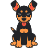 dobermann