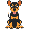 dobermann