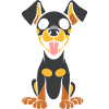 dobermann