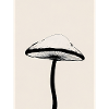 Inky Cap