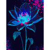 Flourish in the Void