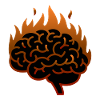 THE BRAIN