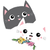 Cat black white