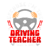 Fahrlehrer Fahrschullehrer