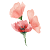 Painted flowers