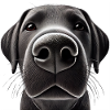 Dog Head 7 black