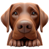 Dog head 2 brown