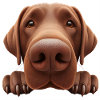 Dog Head 3 brown