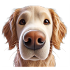 Dog Head 4 beige