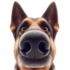 Dog Head 9 German Shepherd