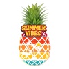 Pineapple Summer Vibes