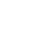 Hunderasse Terrier