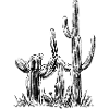 Cactus Vibe