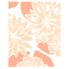 Flowers - Spring - Blossoms