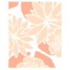 Fleurs - Printemps - Été - Fleurs